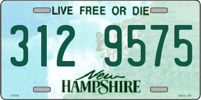 NH license plate 3129575