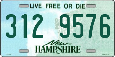 NH license plate 3129576