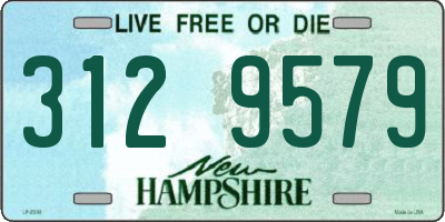 NH license plate 3129579
