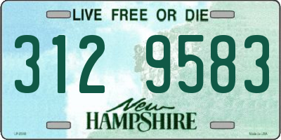 NH license plate 3129583