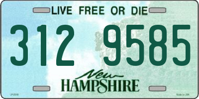 NH license plate 3129585