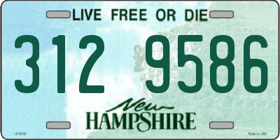 NH license plate 3129586