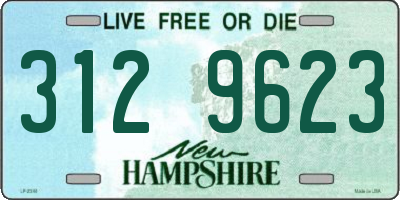 NH license plate 3129623