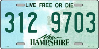 NH license plate 3129703