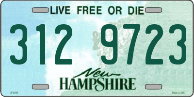 NH license plate 3129723