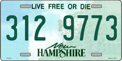 NH license plate 3129773