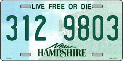 NH license plate 3129803