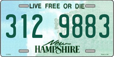 NH license plate 3129883