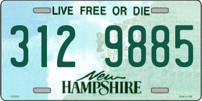 NH license plate 3129885