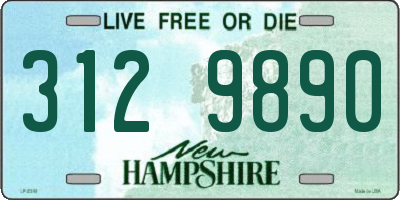 NH license plate 3129890