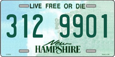 NH license plate 3129901