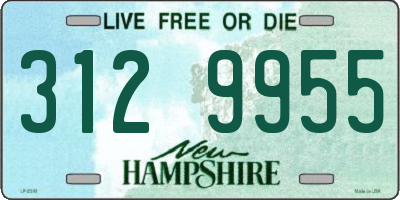 NH license plate 3129955