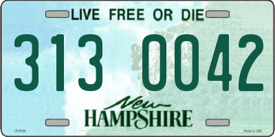 NH license plate 3130042