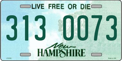 NH license plate 3130073