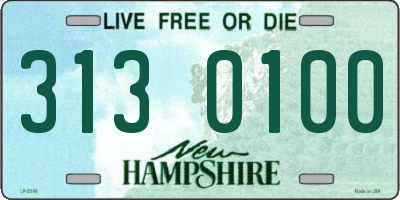 NH license plate 3130100
