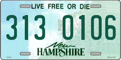 NH license plate 3130106