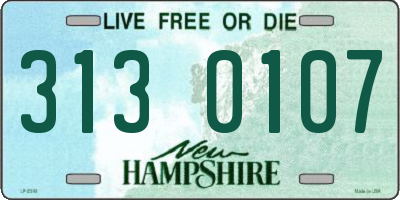 NH license plate 3130107