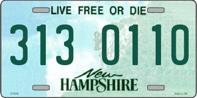 NH license plate 3130110