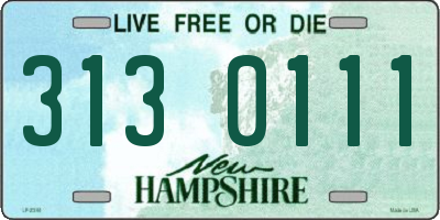NH license plate 3130111