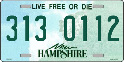 NH license plate 3130112