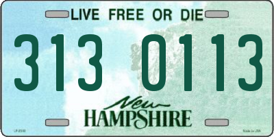 NH license plate 3130113