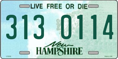 NH license plate 3130114