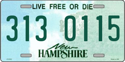 NH license plate 3130115