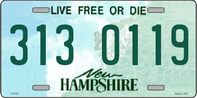 NH license plate 3130119