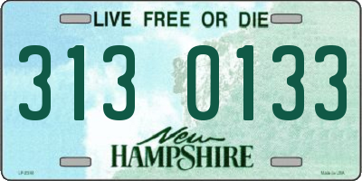 NH license plate 3130133