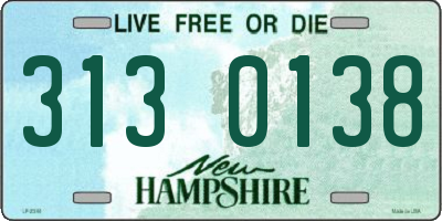 NH license plate 3130138