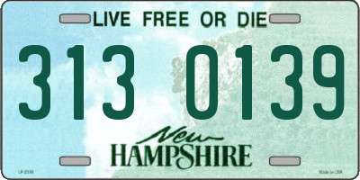 NH license plate 3130139