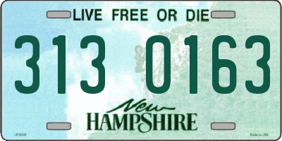 NH license plate 3130163