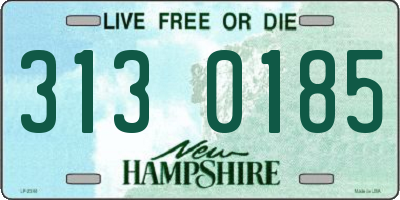 NH license plate 3130185