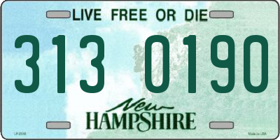 NH license plate 3130190