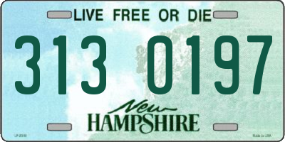 NH license plate 3130197