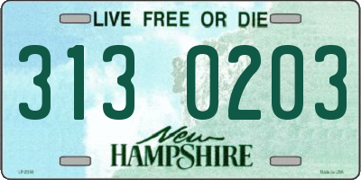 NH license plate 3130203