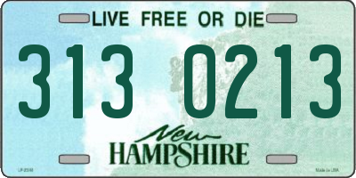 NH license plate 3130213