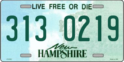 NH license plate 3130219