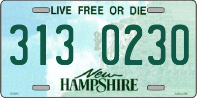 NH license plate 3130230