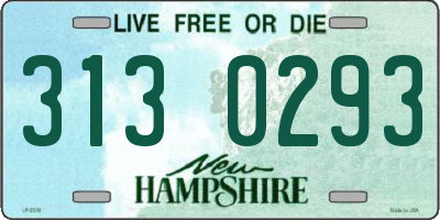 NH license plate 3130293