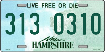 NH license plate 3130310