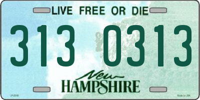 NH license plate 3130313
