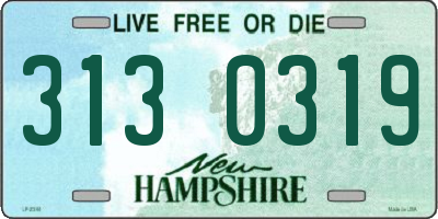NH license plate 3130319