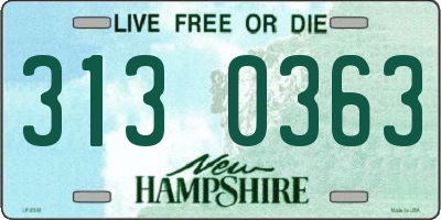 NH license plate 3130363