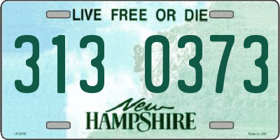 NH license plate 3130373