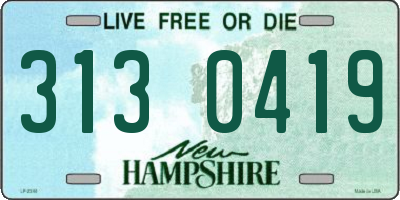 NH license plate 3130419