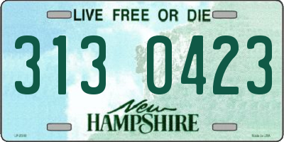 NH license plate 3130423