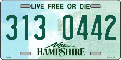 NH license plate 3130442