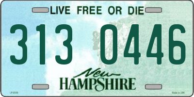 NH license plate 3130446