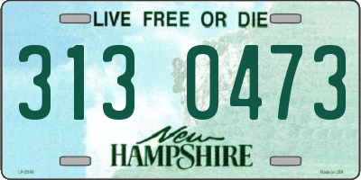NH license plate 3130473